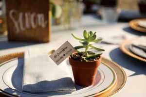 Feast on This Wedding | Succulent Escort Cards